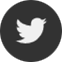 Social Icon