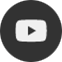 Social Icon